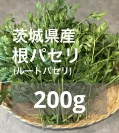 Item thumbnail for item 9c2627a9-1f1f-487b-8cd3-78de863dc0b2