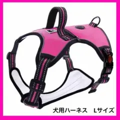 Item thumbnail for item 72dcf01f-dc9a-4ff1-b637-122aa28ed489