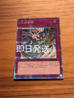 遊戯王　天龍雪獄プリズマ　即日発送
