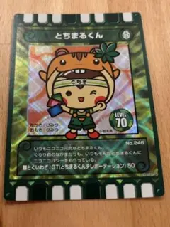 【レア限定】ぐるり森 地域限定カード とちまるくん とちのきファミリーランド限定