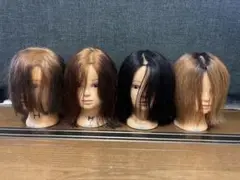 カットウィッグ4体セット