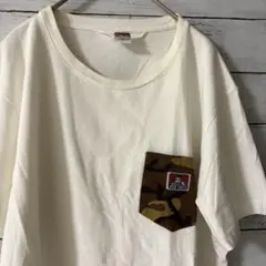 ベンデイビス カモ コーデュロイ ワンポイント ポケットTシャツ 古着屋購入