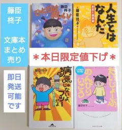 文庫本 4冊 まとめ売り 藤臣柊子 気持ちが軽くなる 美容 健康 心 エッセイ