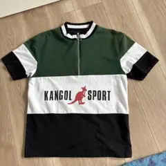 Item thumbnail for item 41ed0a98-a5fd-4b33-8996-c3ed7c3b34c0