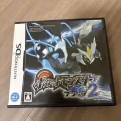 DS ポケットモンスター　ブラック2
