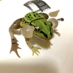 いきもの大図鑑アドバンス トノサマガエル オス 緑色　生き物大図鑑　ガチャ