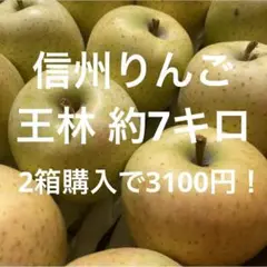 信州りんご 王林 約7キロ 加工用にも!