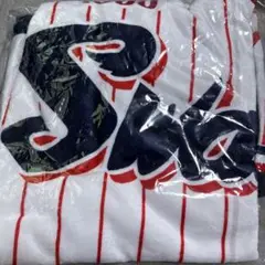 東京ヤクルトスワローズ　ブランケット