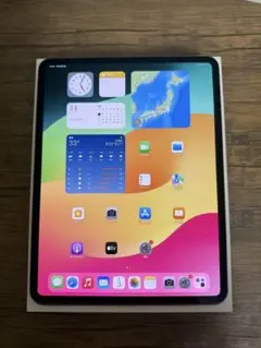 iPadPro 13インチ M4 256インチ セルラーモデル スペースブラック