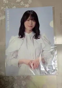 Hikaru Morita 森田ひかる　A4　クリアファイル