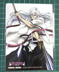 BLEACH あみあみ限定特典 L判ブロマイド 4種類