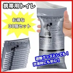 Item thumbnail for item c836a021-ac3c-4208-b3f4-c2523ef78bd3
