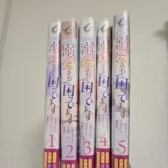 王子様に溺愛されて困ってます～転生ヒロイン、乙女ゲーム奮闘記～　5巻セット帯つき