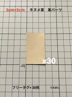 Item thumbnail for item c3d8a322-d11b-4d73-a97e-9236ec67c79f