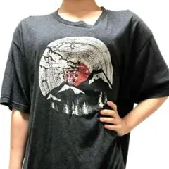 threadless マウンテン サン Tシャツ XL ブラックダークグレー古着