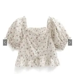 Item thumbnail for item 558d6fa8-33a1-4f57-a2d0-62018dafaf1a