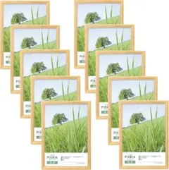 Item thumbnail for item 2e7af257-458a-4203-9107-8b6b3dea5519