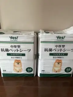 Item thumbnail for item 8ba58519-1463-4663-ae78-eaabadfd6c9b