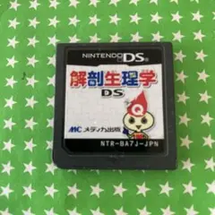解剖生理学 DS