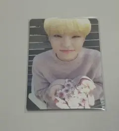 seventeen ホシ