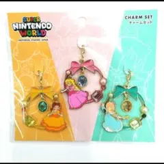 USJ NINTENDO　チャームセット
