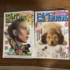 ビッグコミック