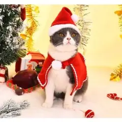 Item thumbnail for item c63e1404-d6c8-4d1d-b606-516ea68cb73e