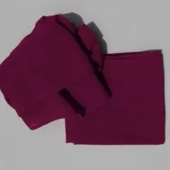 Item thumbnail for item 56c3ed3e-4efb-46f2-9248-0e899a036677