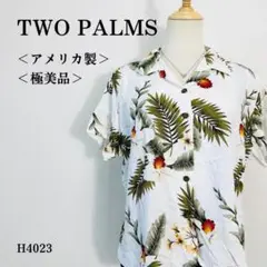 Item thumbnail for item 47a04c17-0c6f-4a5d-a849-c7ad0d847837