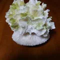 さんご　の　置物　セット