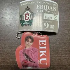 EBiDAN ガチャガチャ ONE Ｎ’ ONLY