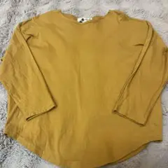 アンティカ　120 マスタードイエロー　ロンT