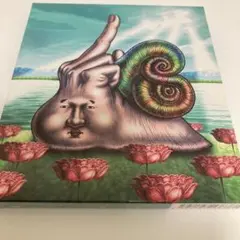 八十八ヶ所巡礼 幻魔大祭 アルバム DVD付き