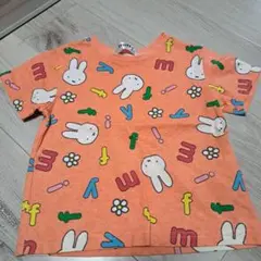 Item thumbnail for item a1730a4d-c3d9-479e-b077-ed83a72b8e76