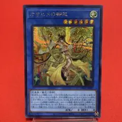 遊戯王　オオヒメの御巫 シークレットレア ④