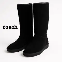 Item thumbnail for item 90f99dc9-08c8-4628-ac0b-8bc6d162cc65