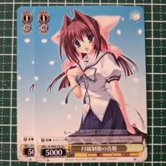 Item thumbnail for item 2f507d29-fc3b-4939-87b1-a80b29e4cfe0