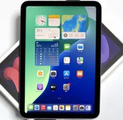 iPad mini6 64GB cellularバッテリー99%~100%