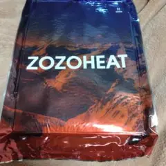 ZOZOHEAT 長袖Vネックインナー M アイボリー