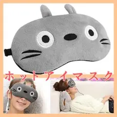 ホットアイマスク 目元マッサージ 血行促進 電熱式 蒸気 安眠 遮光 F