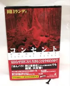 コンセント 田口ランディ著