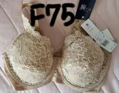 ã¯ã³ãŒã«ããã©ãžã£ãŒF75 èžããã¡ ããŒãžã¥ æ°åã¿ã°ä»ã