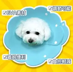 Item thumbnail for item 71e4c771-5aa9-4dcb-8c3a-e8447f83ae36