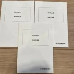 CIA 試験模擬問題集2019の通販 by ハルカリ88's shop｜ラクマ