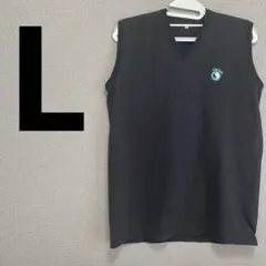 Item thumbnail for item 8042cce7-2166-4260-900a-e4094c2f3c5c