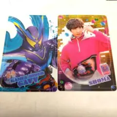 仮面ライダーガヴ　ショウマ　トレーディング　スタイルカードコレクション
