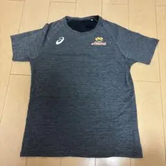 東レアローズ 2XL 選手支給 Tシャツ