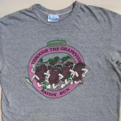 80s カリフォルニアレーズン USA製 レーズンラン キャラクター ファニー