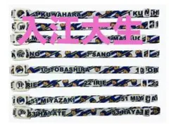 ベイスターズ　入江大生　ノベルティペットボトルストラップ　非売品