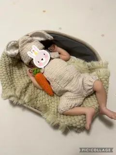 ニューボンフォトセット　うさぎ